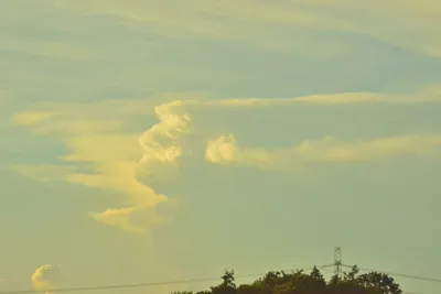 DSC_3800 (Large).JPG